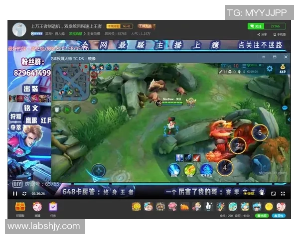 电竞数据专家王芳揭秘王者荣耀实战技巧与心得分享