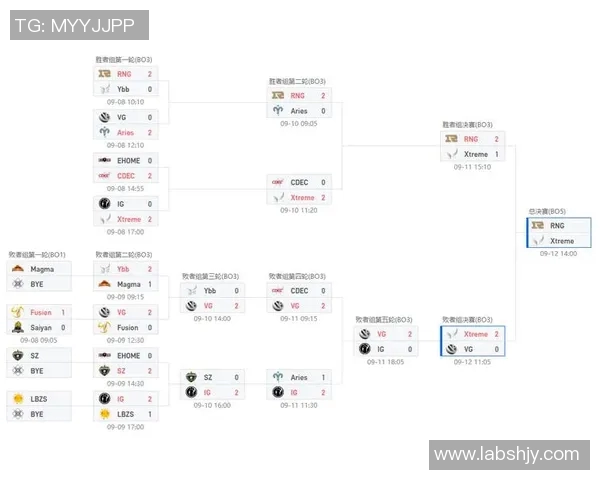 深入分析RNG战队在DOTA2中的节奏掌控与战术布局